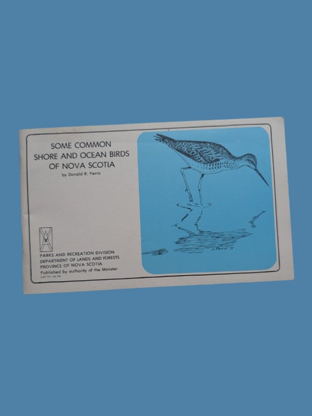 BOGO Vintage Some Common Shore and Ocean Birds of Nova Scotia Government Booklet
